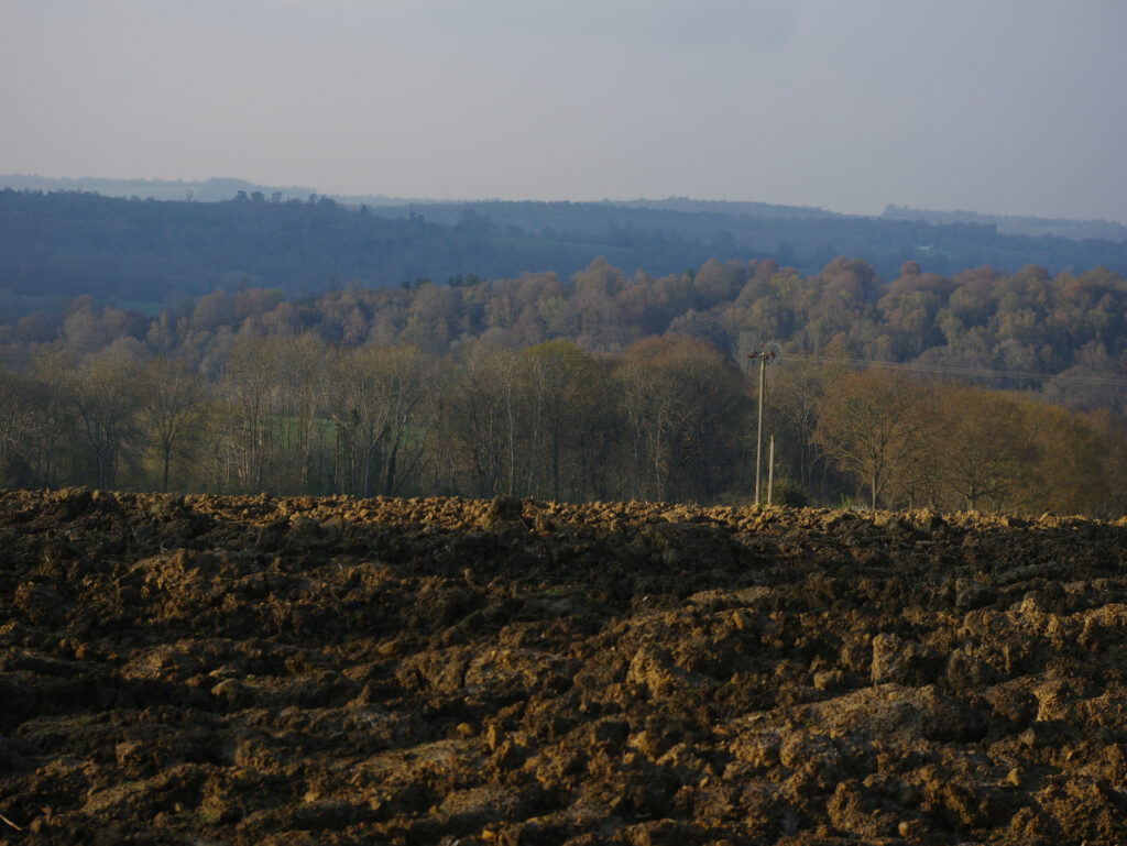 Land Use Planning Agriculture and Forestry are examples of Landuse 